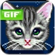 Cat Gif Texter