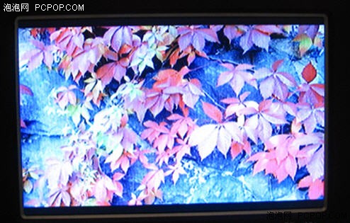新年新气象礼物送相框——天敏DPF100