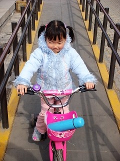 �����ǻ۵�������&nbsp;����T300��ⱨ��