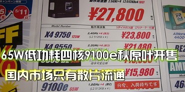 65W��װ�ĺ�9100e���� ����ֻ��ɢƬ