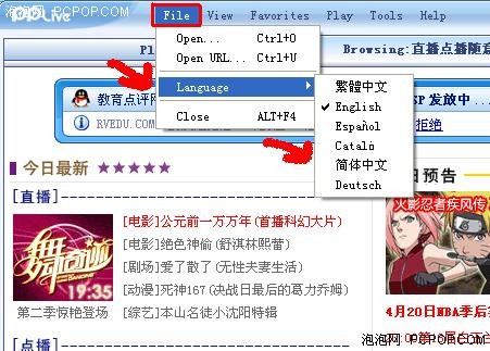 ����PPLive�������뻨������������