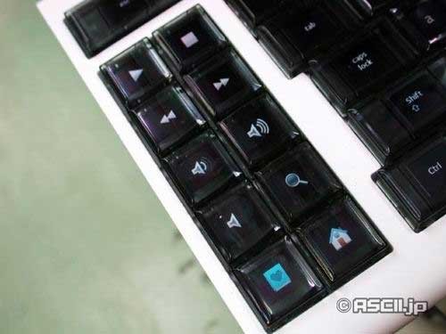 ���1��7��Optimus&nbsp;OLED����ȫ���½