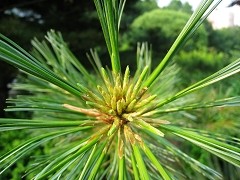 ¹ã½ÇÖ®Áµ ¼ÑÄÜIXUS860IS¶Ô±ÈË÷ÄáW170