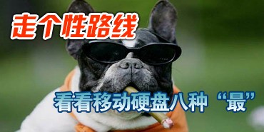 走最个性路线 细数移动硬盘八种