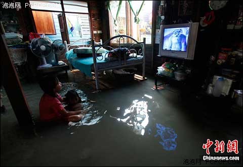 泰国洪灾 西数东芝日立硬盘工厂停产 