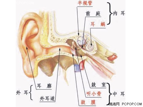 实测生活环境噪声!教你防御噪音污染