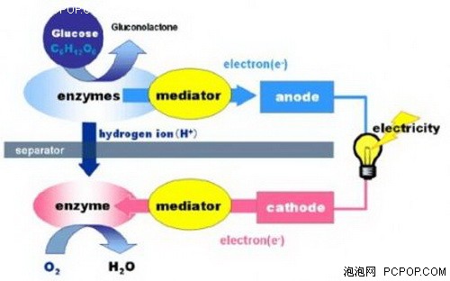 废纸发电生物电池！最新十款新奇产品 