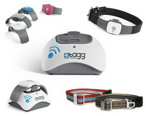 小提琴弦品牌排行_乐海匠心——打磨琴弦艺术做中国好弦品