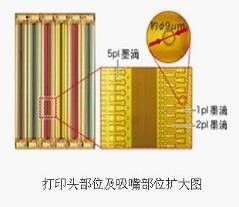 解码影像输出大师佳能PIXMA PRO系列 