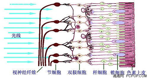 蓝光你在哪？实测各种屏幕光谱（一） 