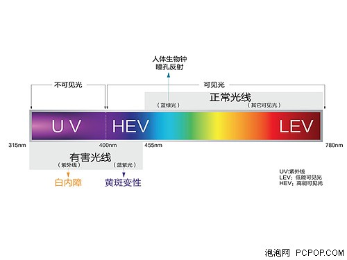 蓝光你在哪？实验室中实测防蓝光镜片 