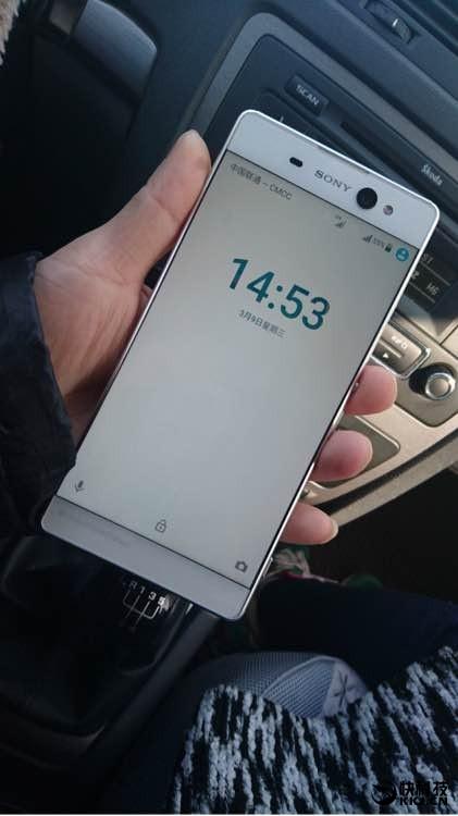 003878979.jpg
