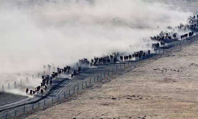 泛亚电竞六种构图给你灵感 拍出好照片的小技巧(图4)