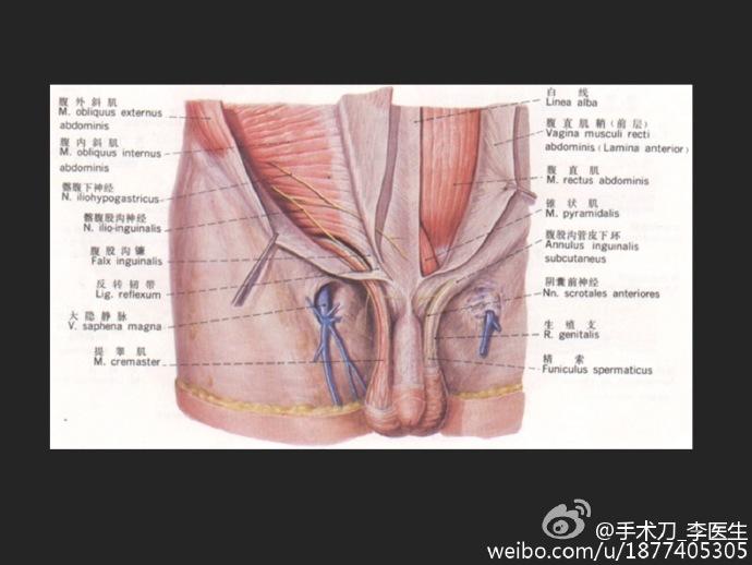 晨博社20160519：未满18岁禁足此区域 