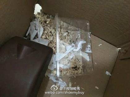 晨博社20160606：美好肉体还是别遮了 