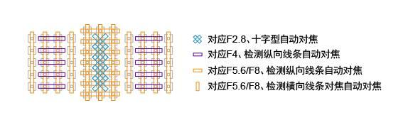 让怪兽如虎添翼 佳能1DX II购买手册 