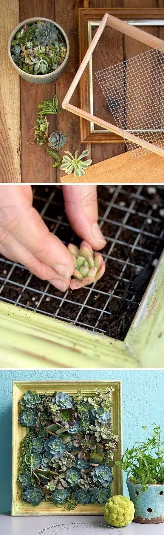 根本无需买花盆儿 这样种植简直美翻了 