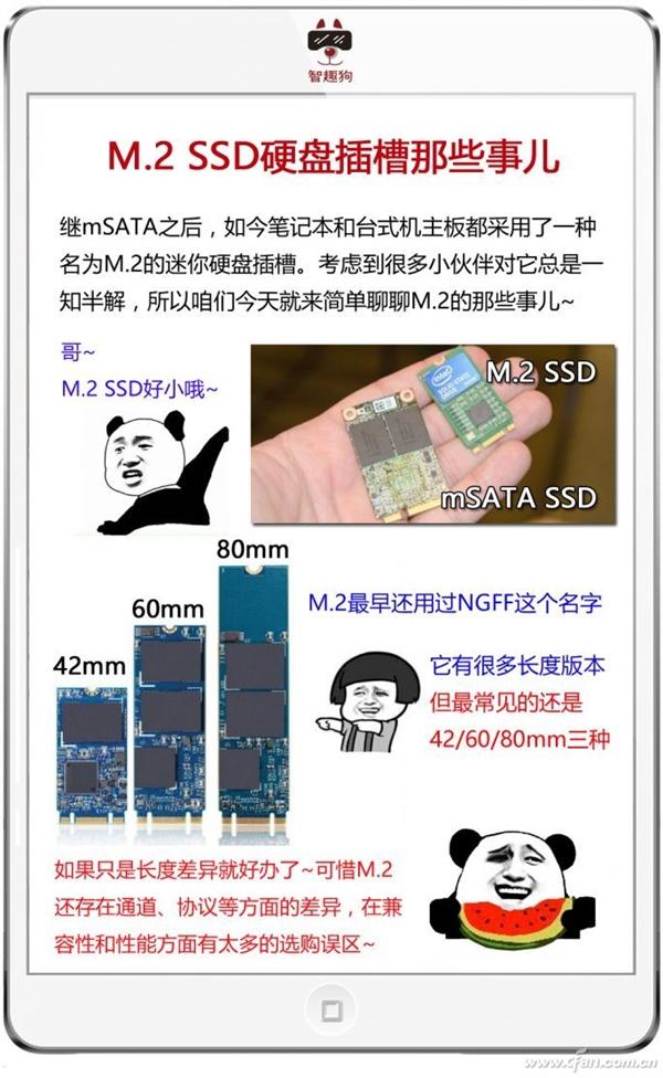 SSD接口到底有哪些？现在终于明白了 