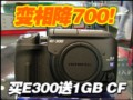 ���ְ�˹E300���ཱུ��