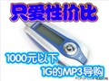 1000Ԫ����1G���͵���