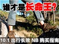 ʮһ���и��ܱ�������