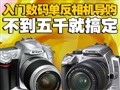 �������뵥���������