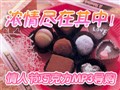 ���˽��ɿ���MP3����