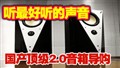��������2.0���䵼��