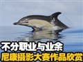 �῵��Ӱ������Ʒ����