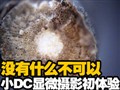 СDC����΢��Ӱ������