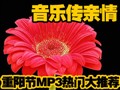 ������MP3���Ŵ��Ƽ�