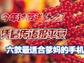 ���ֻ���֤���ŵĳ�ͨ