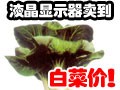 ����֮��ĳ�ֵҺ��ѡ