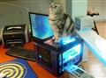 ����ʵս:780G�齨HTPC��ˬħ�޸���
