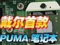 ����PUMAƽ̨�ʼǱ�