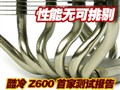 ����Z600�����׼Ҳ���