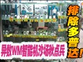 ƫ��WM���ܻ�����ϸ��