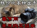 ����ǰ���������Ƽ�
