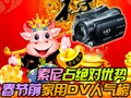 ���ݼ���DV��������