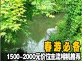 1500-2000Ԫ����Ƽ�