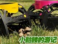 AntecС���ô���дʵ
