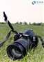 �������ֵĵ��� �῵D5000���������