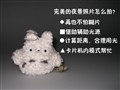 [��Ӱ����ѧ]��Ƭ��ҲNB��̸ҹ������