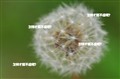 [��Ӱ����ѧ]4����֪ �ĳ���������Ƭ