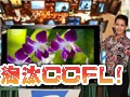 ��̭CCFL ʮ������LEDҺ�����Ӵ󼯺�