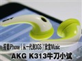 AKG K313ţ��С��