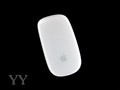 ��㴥�أ�ƻ�����Magic Mouse���