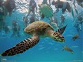 ��¼����˲�䣡���¹��ҵ�����ֽ����