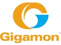 Gigamon�Ƴ�������10G����ֲ�������