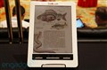CES2012��Ectaco��jetBook��ɫ��ֽ��